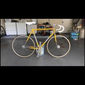 Vintage 1966 Bottecchia Fixie